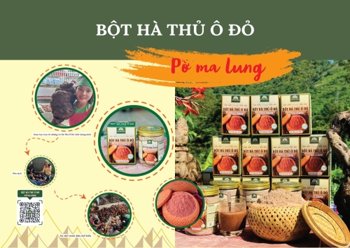 Bột Hà thủ ô đỏ Pờ Ma Lung
