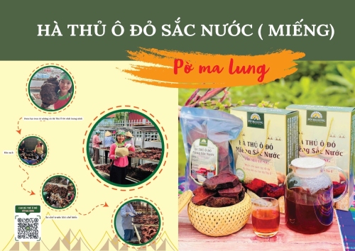 Hà thủ ô đỏ miếng sắc nước Pờ Ma Lung