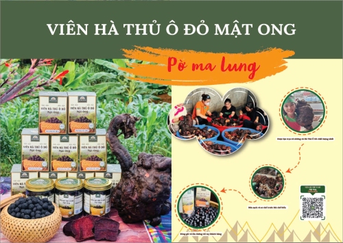 Viên Hà thủ ô đỏ mật ong Pờ Ma Lung