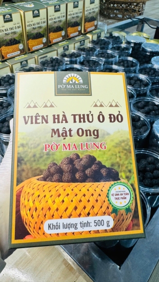 **Hà thủ ô mật ong Pờ Ma Lung – Dược liệu quý từ núi rừng Tây Bắc** thumb