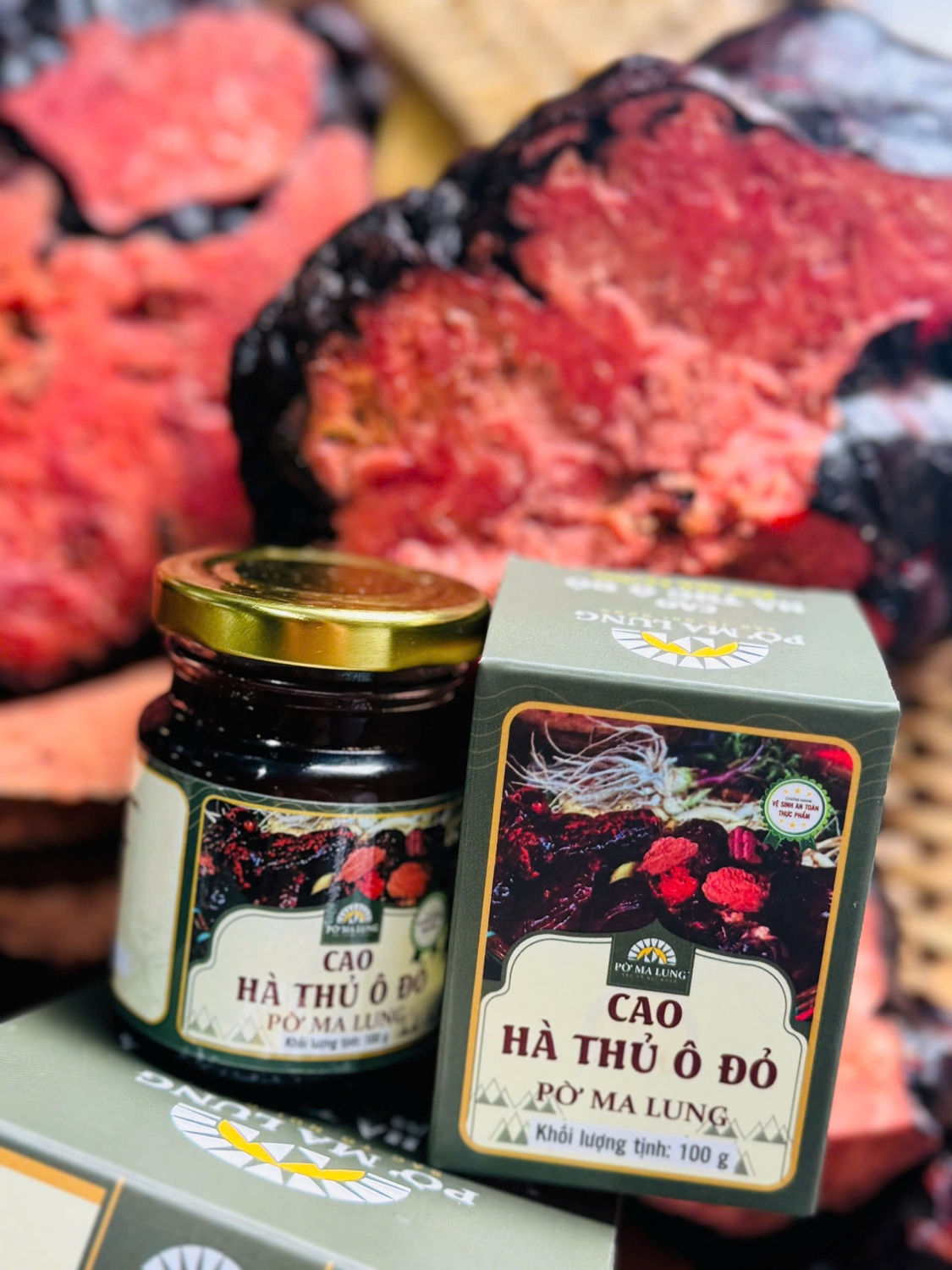 Cao Hà thủ ô đỏ Pờ Ma Lung