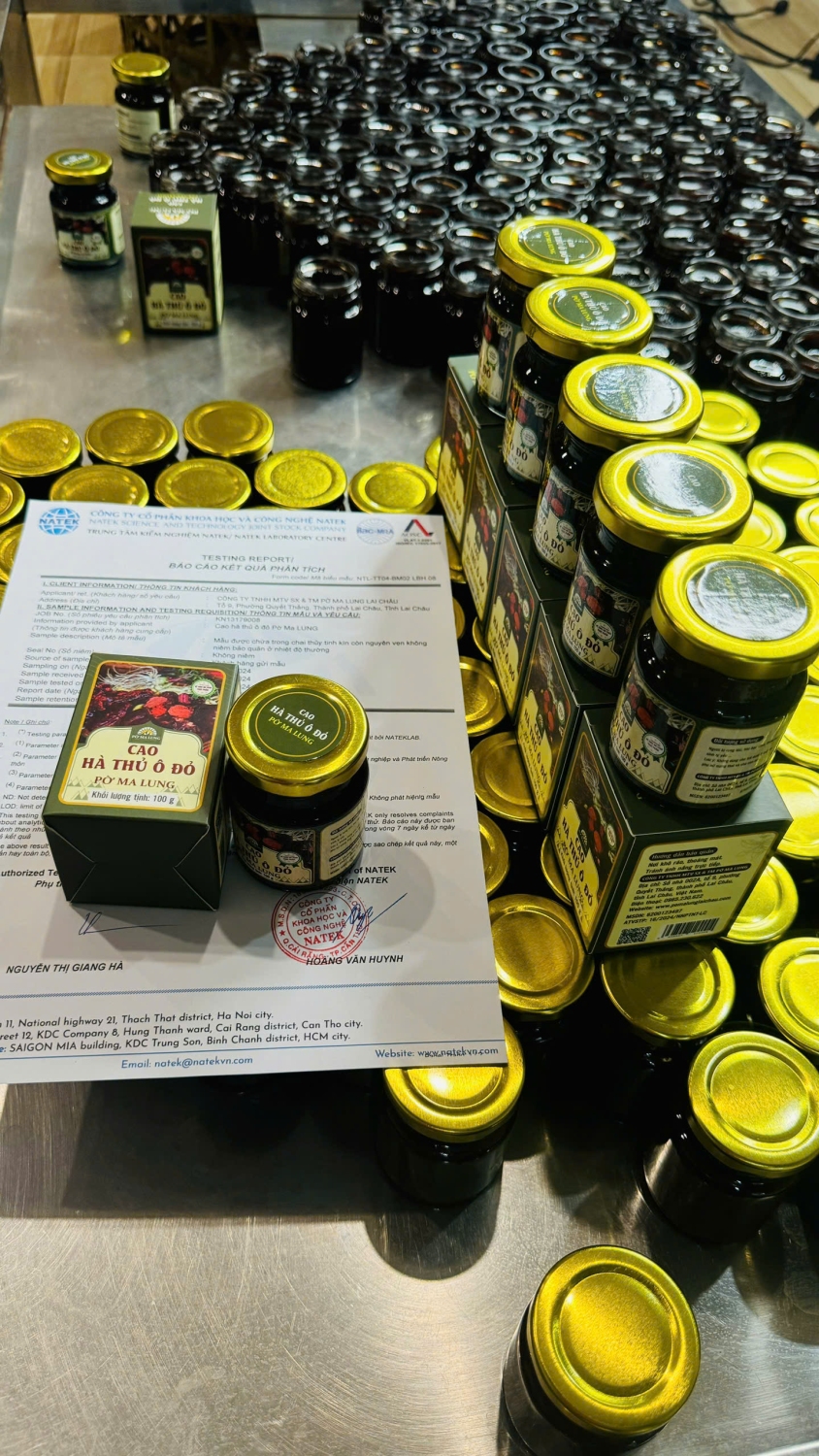 Cao Hà thủ ô đỏ Pờ Ma Lung