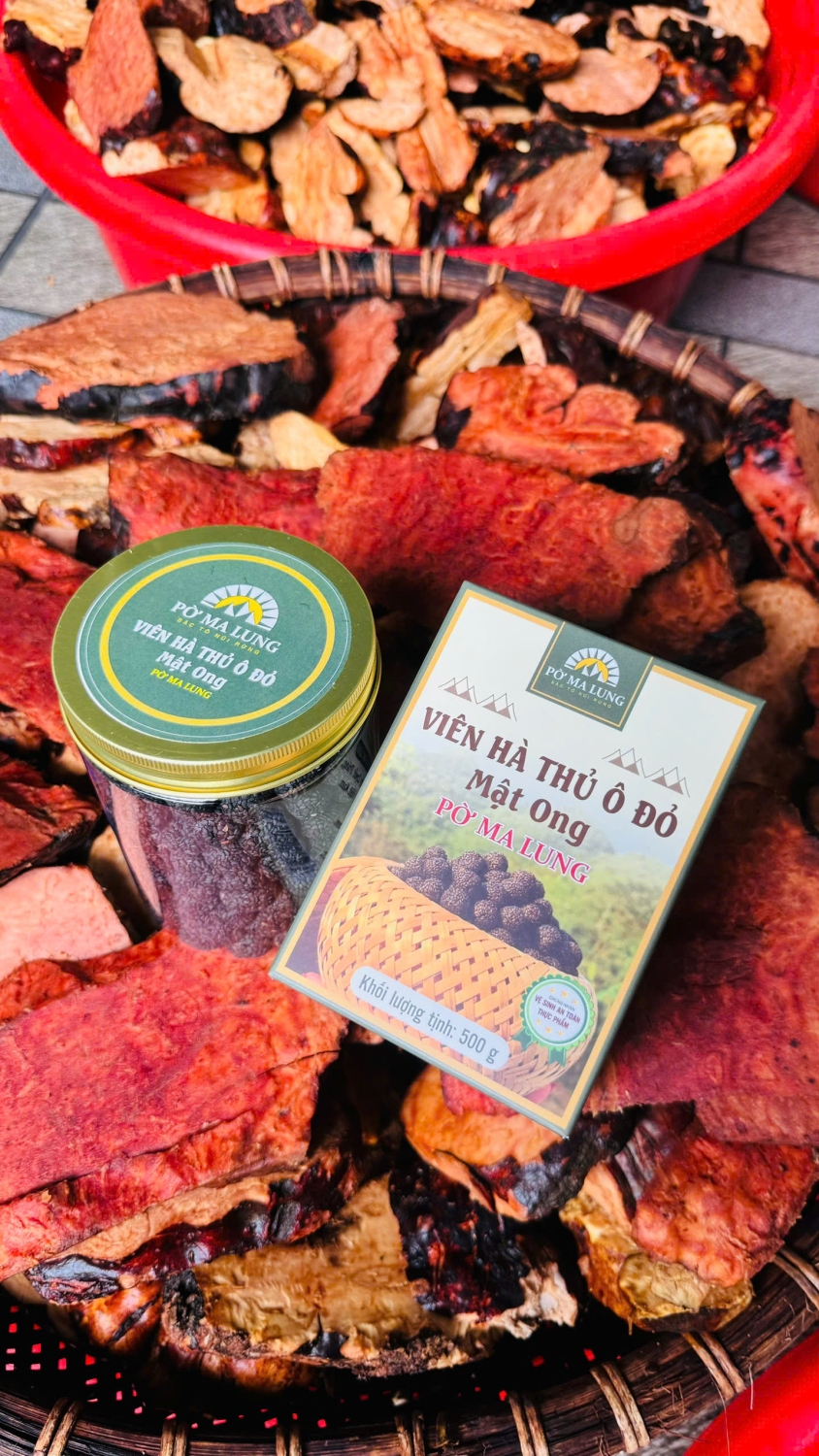 **Hà thủ ô mật ong Pờ Ma Lung – Dược liệu quý từ núi rừng Tây Bắc**