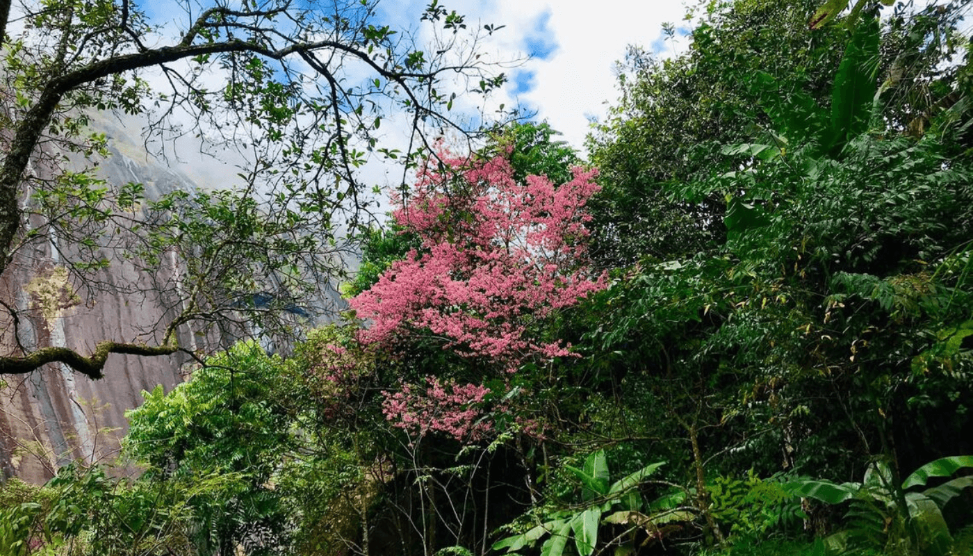 nhung dieu chua biet ve nui po ma lung